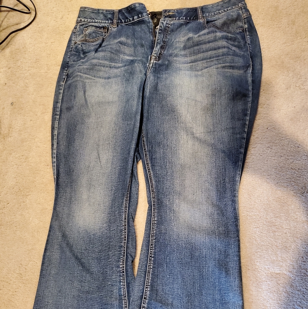 Lane Bryant jeans